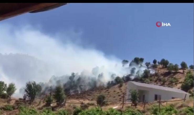 Adıyaman'daki yangınlarda 14 hektar alan zarar gördü 12
